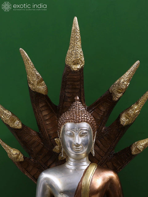 21" Buddha Under Serpent Muchalinda