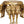 Elephant Chowki