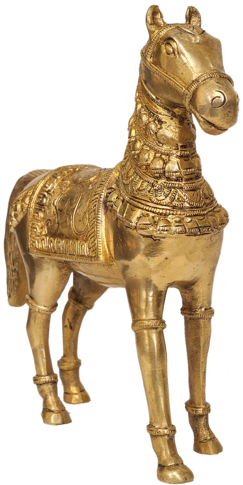 Decorated Horse