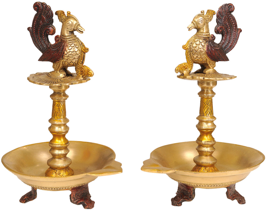 9" Pair of Peacocks Brass Table Lamp Handmade