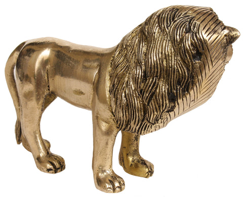 Lion: The Forest King