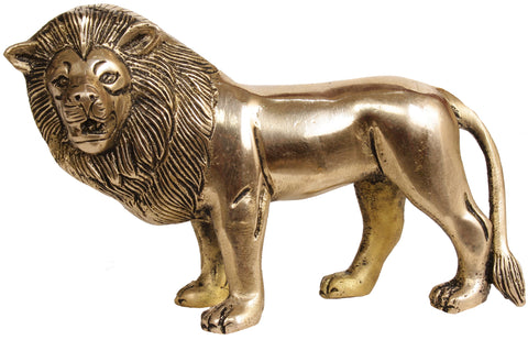 Lion: The Forest King