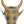 Wall Hanging Bull Mask in Brass