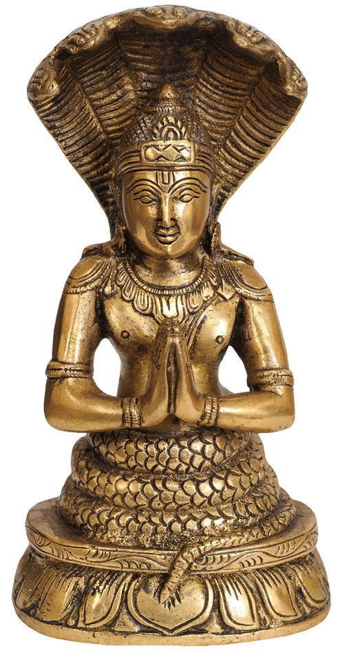 8" Patanjali Brass Statue Handmade for Yoga Pooja