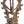 12" Bhagawan Shiva's Tandava In Brass | Handmade | Made In India