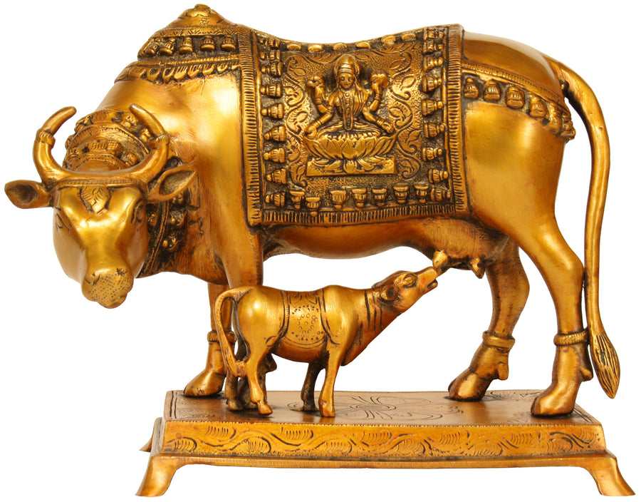 10" Brass Cow and Calf Statue with Goddess Lakshmi Saddle Decoration