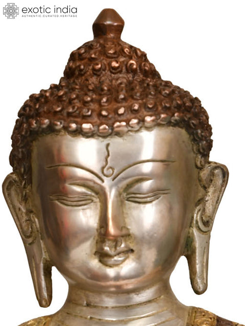 11" Tibetan Buddhist Medicine Buddha In Brass | Handmade | Made In India