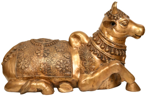 36" Nandi Bull Brass Statue - Lord Shiva's Sacred Vehicle Handmade