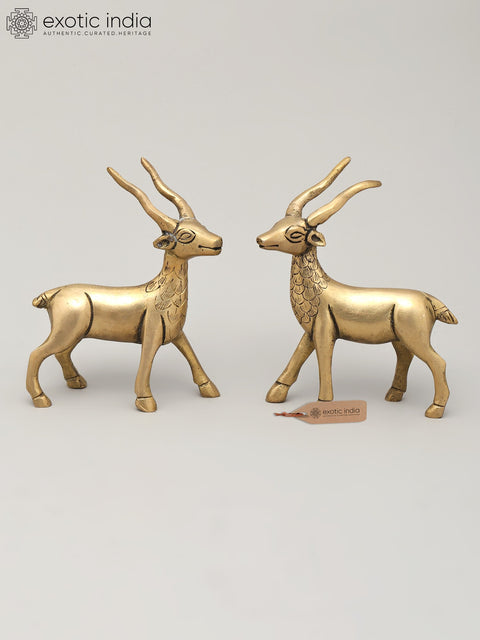 Pair of Deer Brass Figurines | Animal Statue for Decor