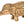 Elephant with Upraised Trunk (for Vastu)