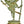 13" Umasahita Shiva In Brass | Handmade | Made In India