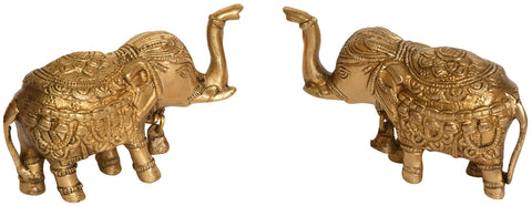 Pair of Upraised Trunk Elephants with Bell (For Vastu)