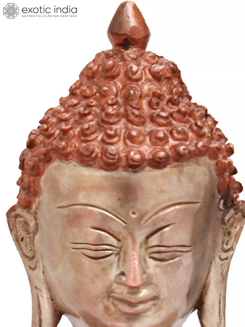 9" Tibetan Buddhist Medicine Buddha In Brass