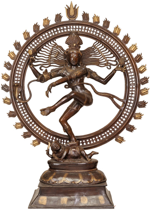 42" Large Size Lord Shiva As Nataraja Dancing on Apasmara In Brass | Handcrafted In India