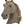 Horse Head (Wall Hanging)