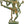 17" Shiva's Ferocious Tandava In Brass | Handmade | Made In India