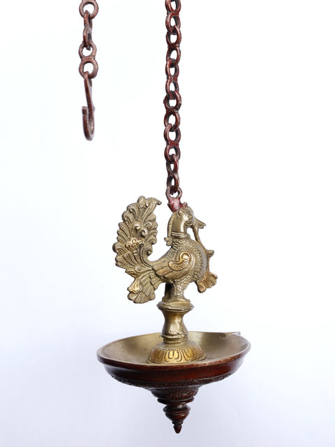 8" Wall Hanging Peacock Lamp in Brass