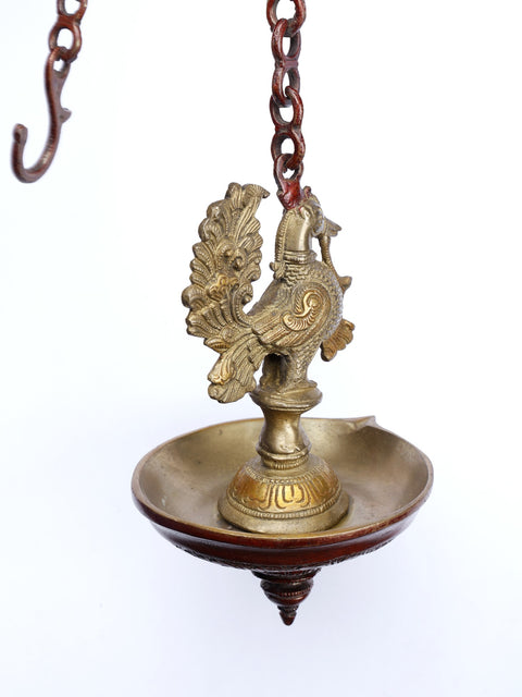 8" Wall Hanging Peacock Lamp in Brass