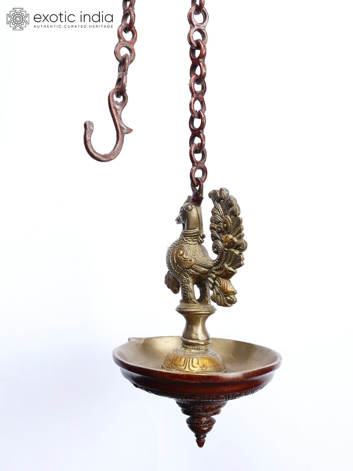 8" Brass Peacock Wall Hanging Lamp for Home Decor