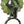 Horse Head Brass Door Knocker | Made In India