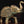Elephant with Upraised Trunk (Auspicious According to Vastu)
