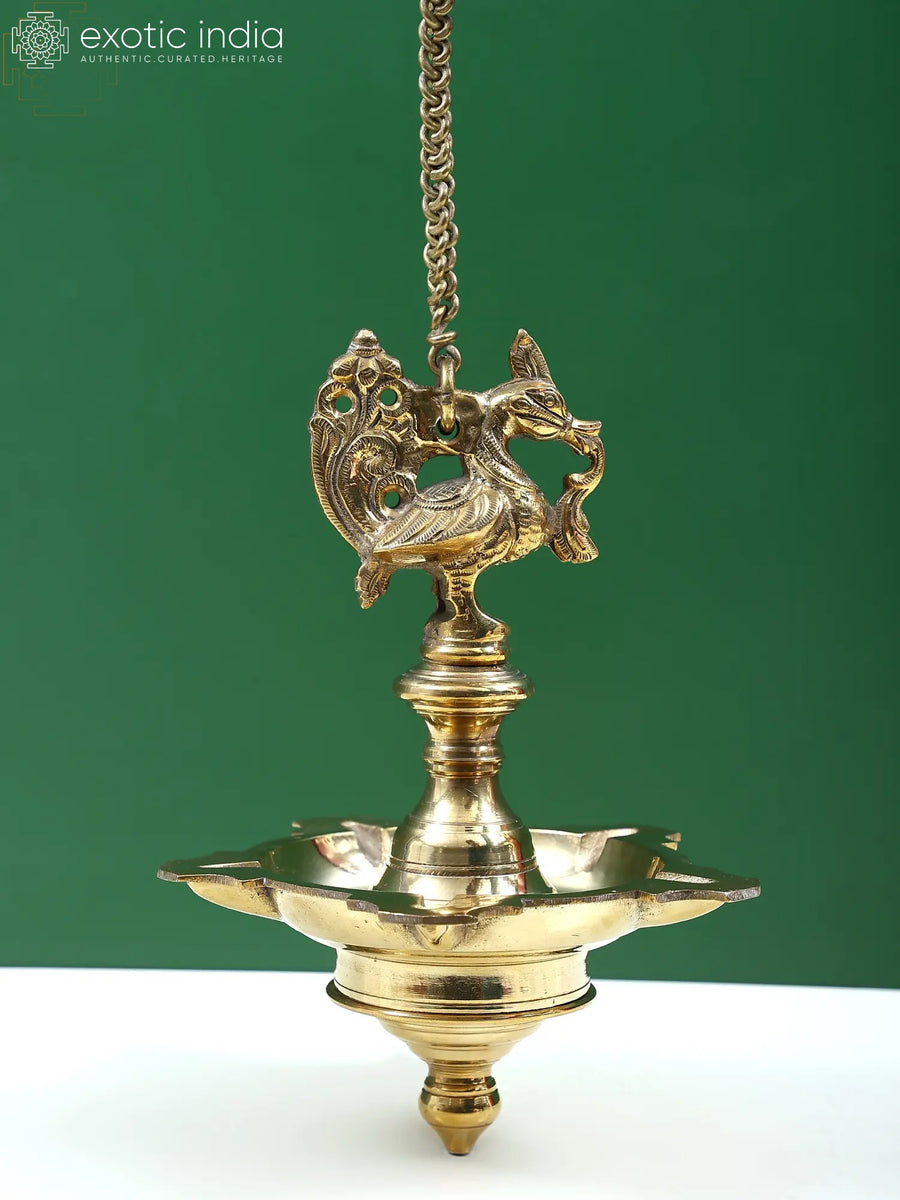 10" Brass Peacock Wall Hanging Lamp for Home Decor