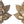 7" Star Lakshmi Ganesha Wall Hanging In Brass | Handmade | Made In India