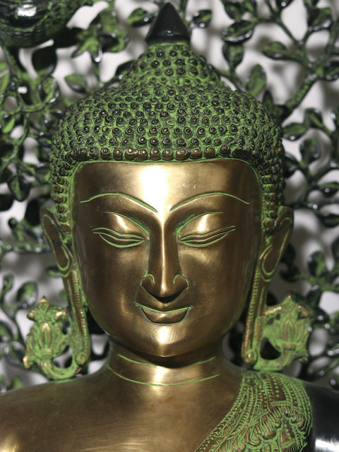 Fine Lord Buddha Preaching in the Backdrop of Bodhi Tree