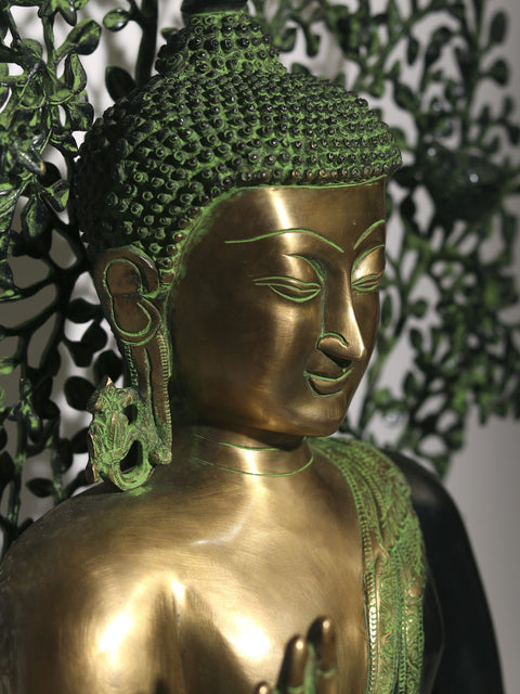 Fine Lord Buddha Preaching in the Backdrop of Bodhi Tree