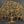 Stunning Tree with Perched Birds and Root Stand