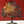 Tree of Life on Stand
