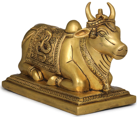 8" Nandi with Shiva Linga on His Head and Overcloth In Brass | Handmade | Made In India
