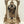 25" Superfine Lord Venkateshvara as Lord Balaji Brass Statue | Handmade