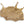 Designer Pipal Leaf Tray (Urli)