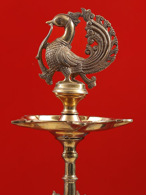 37" Superfine Ritual Multi Wick Peacock Brass Lamp withheld on an Elephant Back