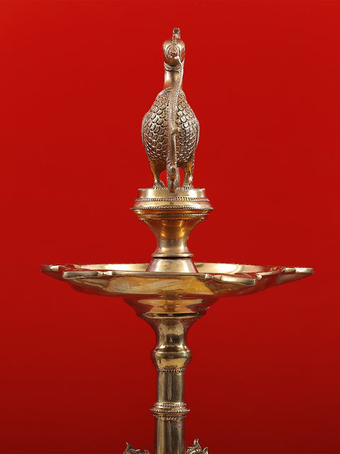 37" Superfine Ritual Multi Wick Peacock Brass Lamp withheld on an Elephant Back