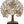 Brass Tree on Wooden Base