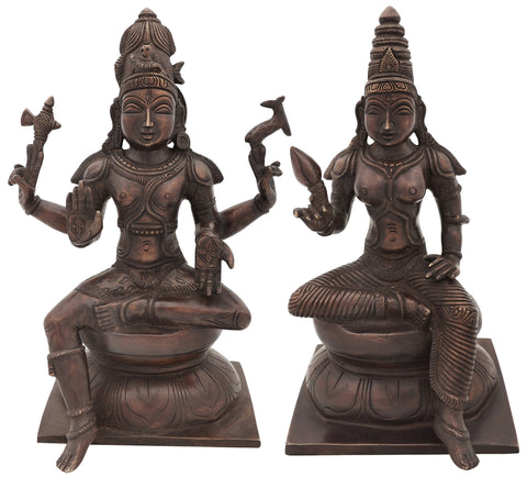 11" Lord Shiva as Pashupatinath with Goddess Parvati In Brass