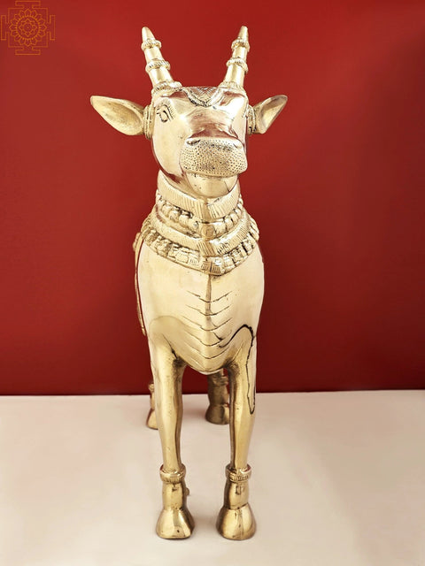 16" Nandi -Vahana of Lord Shiva | Handmade