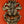 6" Panchanaga Kirtimukha with Seated Ganesha on Top Wall Hanging