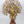 37" Large Brass Lord Krishna Playing Flute Under The Tree