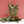 8" The Triumph of Kali | Brass | Goddess Kali